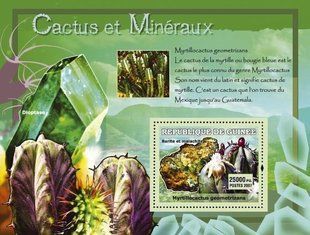 Кактуси і мінерали