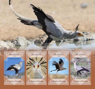 Secretarybird