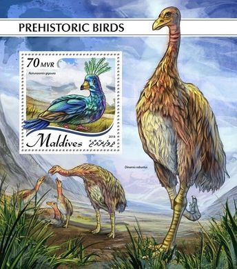 Prehistoric birds